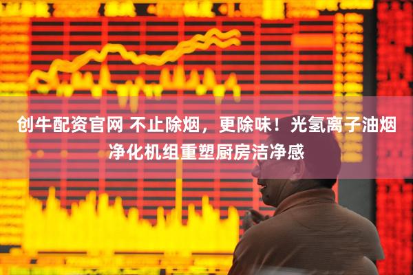 创牛配资官网 不止除烟，更除味！光氢离子油烟净化机组重塑厨房洁净感