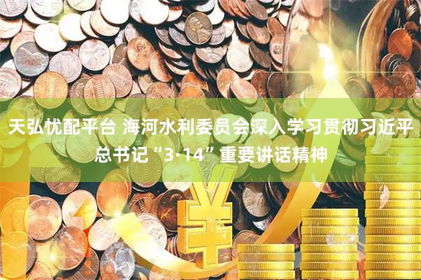 天弘忧配平台 海河水利委员会深入学习贯彻习近平总书记“3·14”重要讲话精神